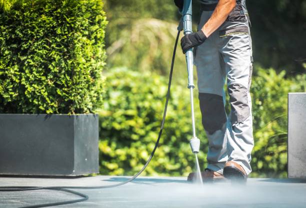 Best Roof Cleaning and Mildew Removal in Tallmadge, OH